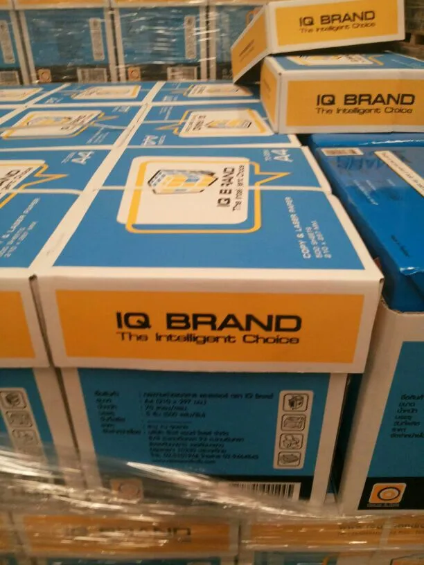 IQ-Brand-A4-Copy-Paper IQ Brand A4 Copy Paper